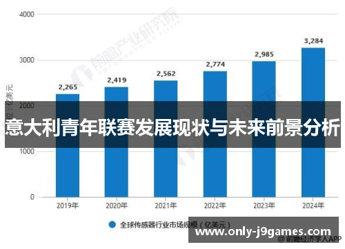 意大利青年联赛发展现状与未来前景分析